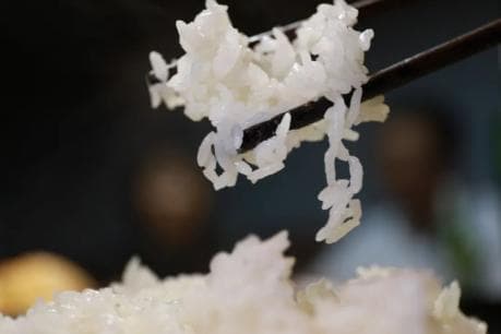 主食新选择：玉米、薯类、杂豆的营养价值与食用指南