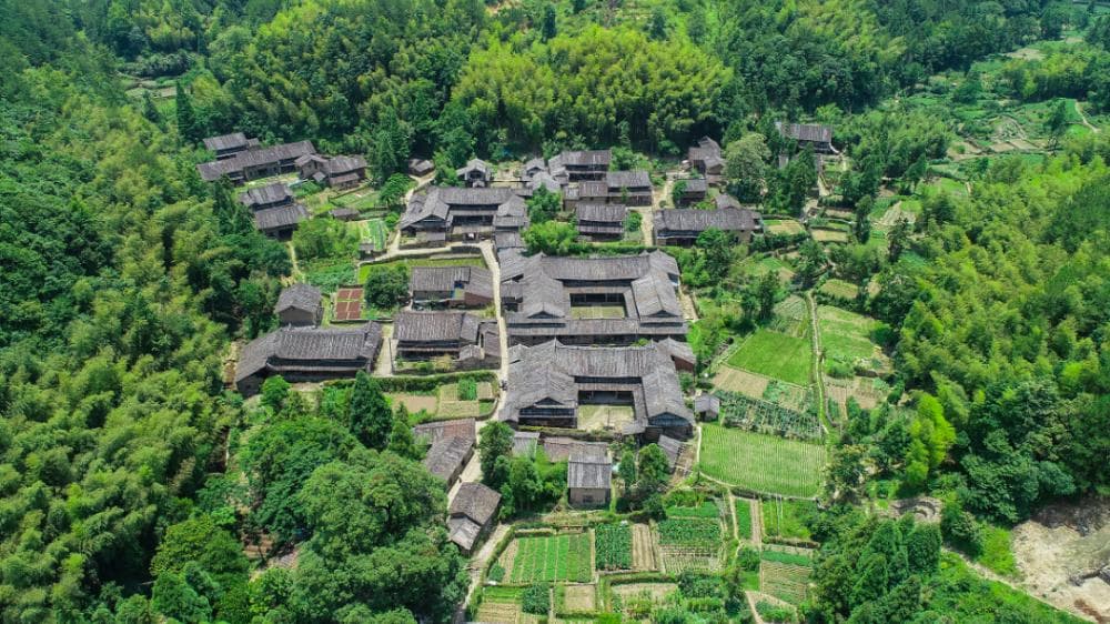 温州有戏｜一碗“糯米饭”，盛着怎样的山河湖海味？
