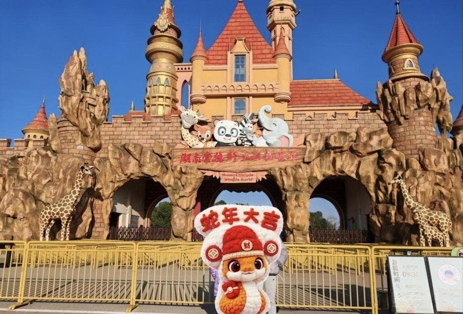 探秘汉寿野生动物园：亲子家庭的奇妙之旅