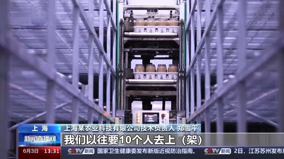 智慧、省力、高产 这座蘑菇工厂让外国客商惊叹