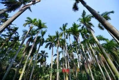 西青区十大旅游景点