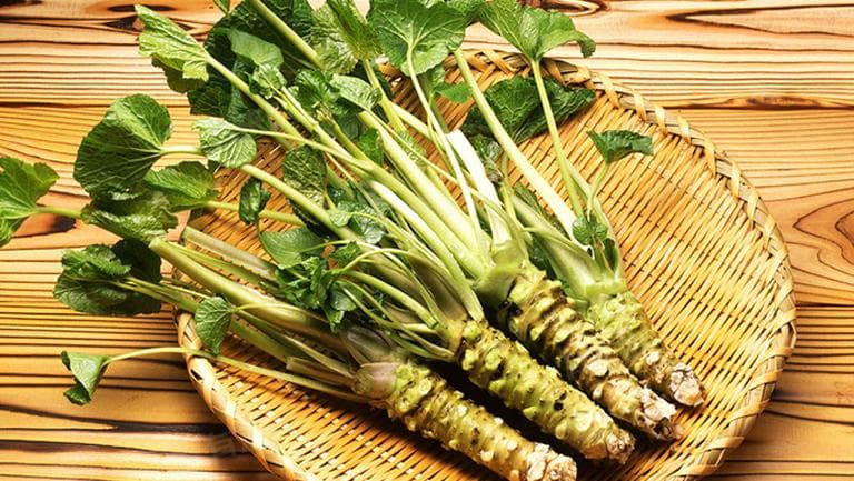 孕妇可以吃芥末吗？从健康角度给出专业建议