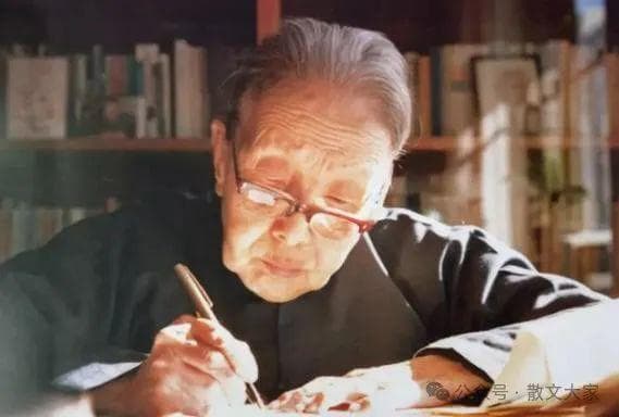 繁星：冰心诗作的璀璨星河