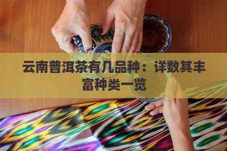 云南普洱茶的丰富种类及其独特魅力