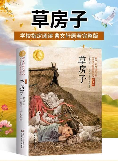 《草房子》：发现生活中的美