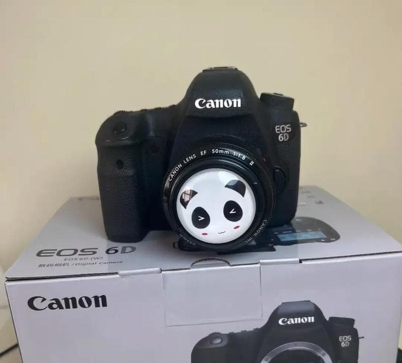 佳能6D的画质表现如何？（探究佳能6D相机的画质特点和优势）