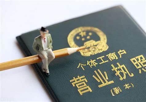 个体年报与企业年报：深度解析其核心差异