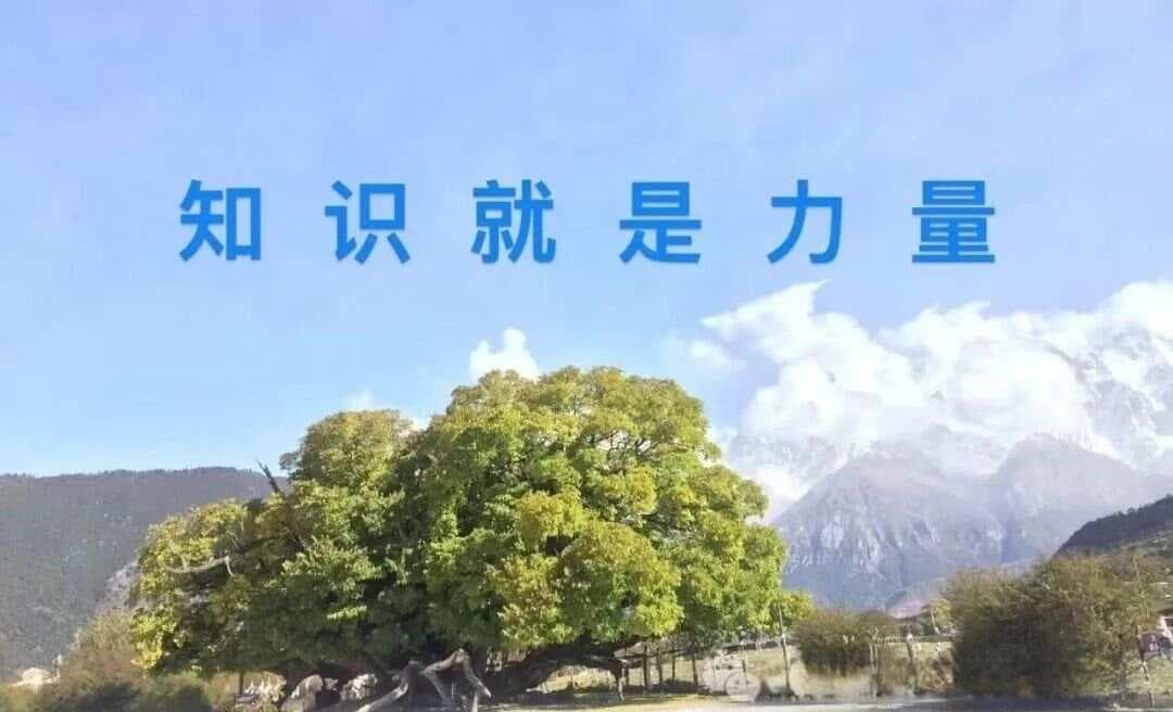 干货：零基础看懂自己八字的喜忌和十神