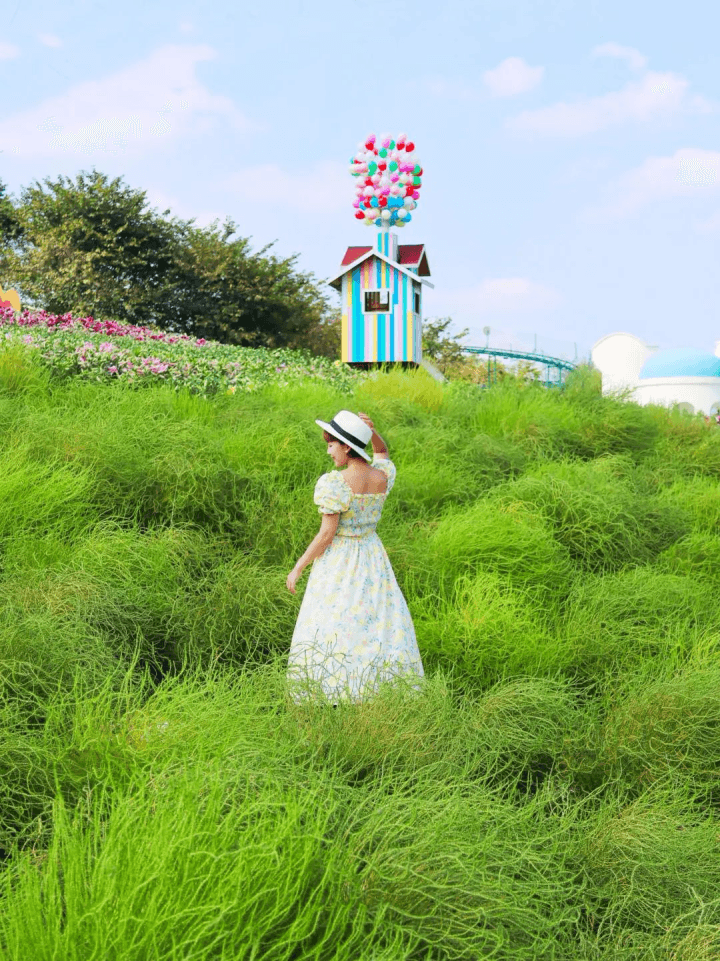 油菜花樱花梨花全搞定 这五条春日徒步路线请你收藏好