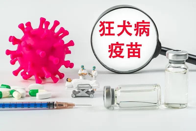 被抓伤或咬伤后，如何预防狂犬病发生？