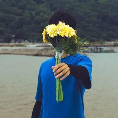 杨迪星盘分析：太阳落金牛，风趣幽默的主持人