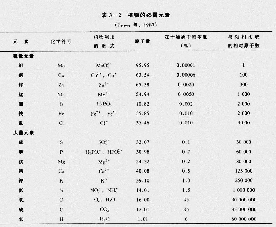 植物营养及养分吸收原理