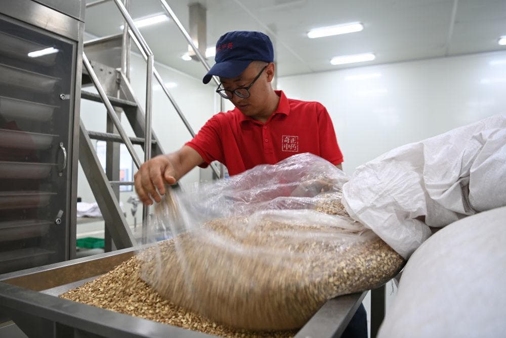 用DNA技术辨优劣　甘肃从源头守护中药材种质资源