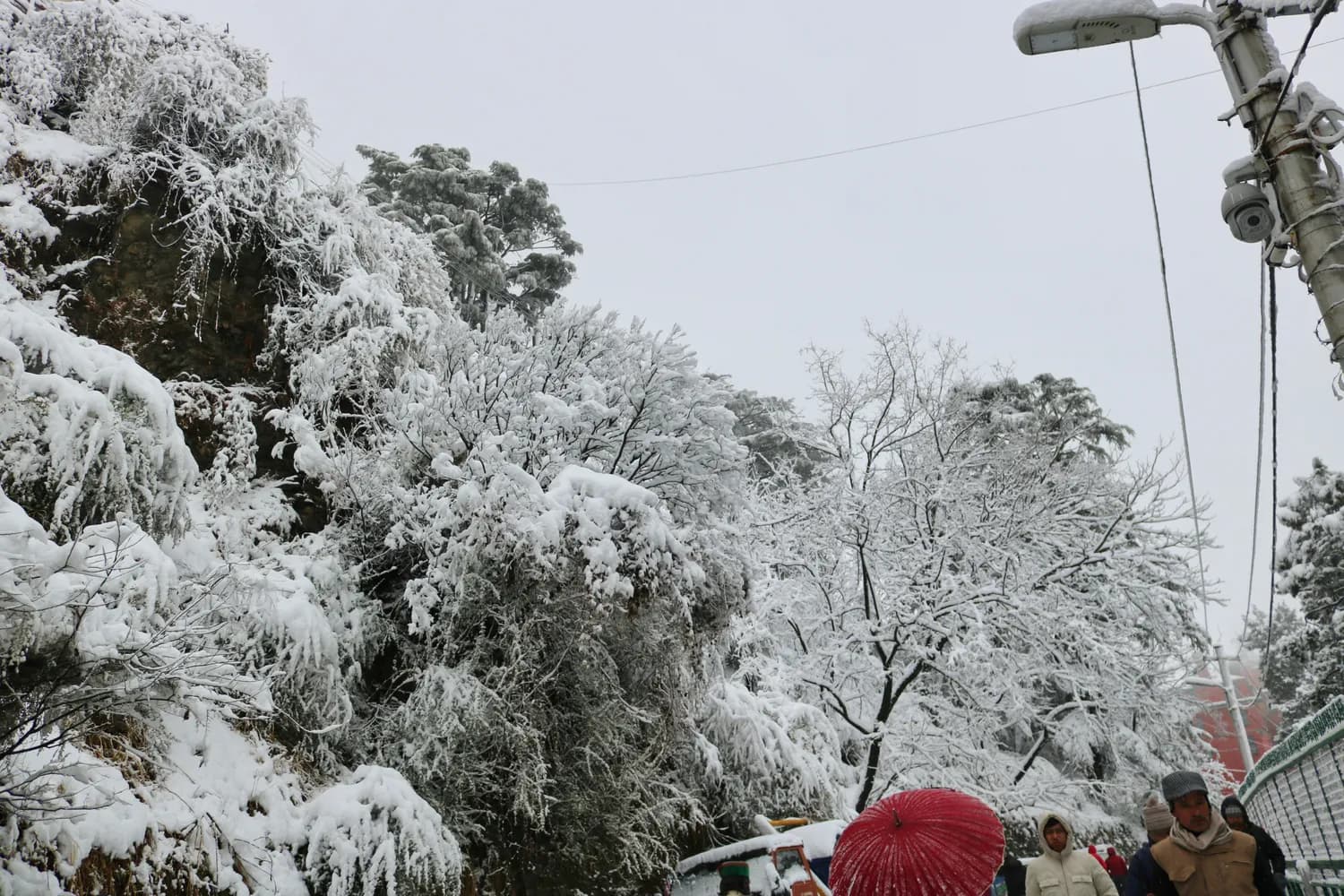 四川春节出行攻略：避开冷空气影响，尽享巴蜀风光