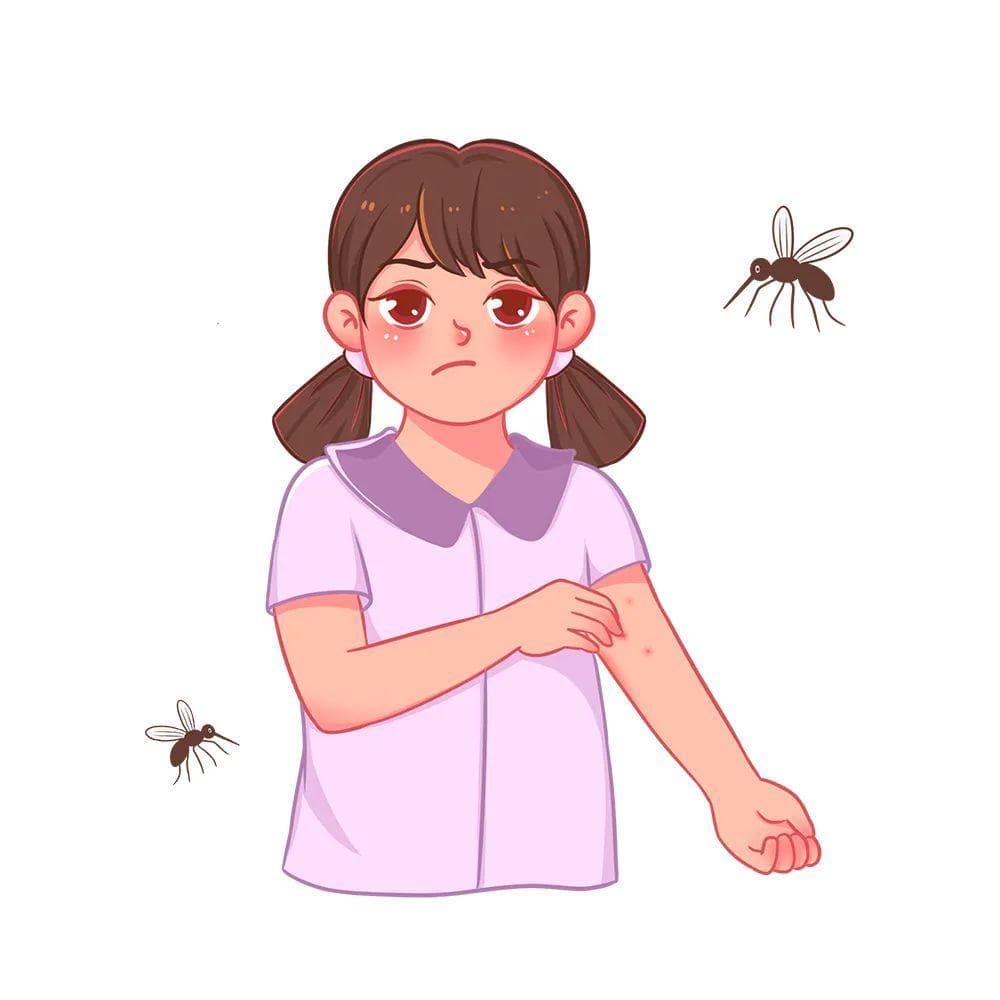 被蚊子咬了怎么办？止痒妙招与防蚊指南
