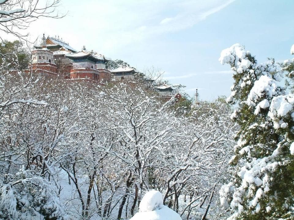 2025年春节出行预测：自驾游占八成，冰雪、避寒游成热点