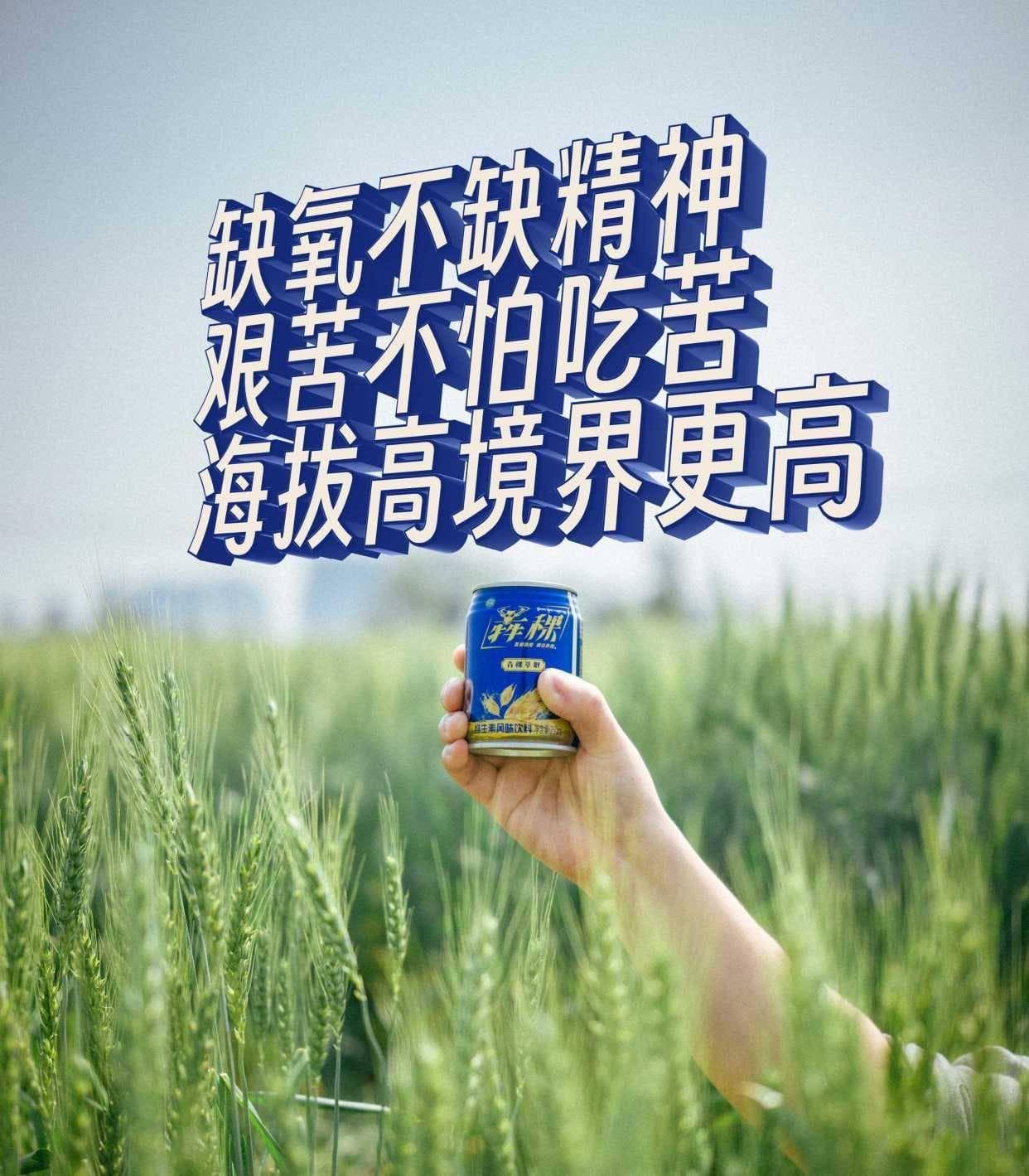 青稞是寒性食物吗？