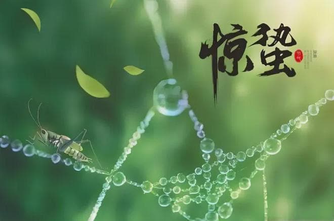 惊蛰后的第一茬野菜，竟然这么好吃！你猜AI推荐了哪6种？