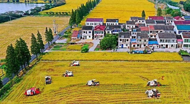 什么是“三农”？这篇文章全给你讲清楚，赶紧收藏起来