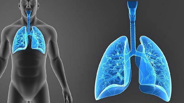 肺气肿晚期严重吗？症状、治疗与预防全解析