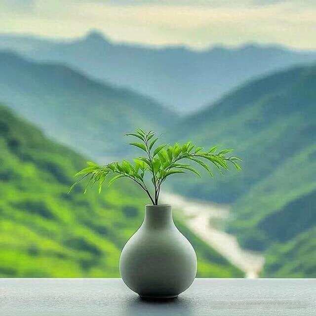 散文的叙事特色