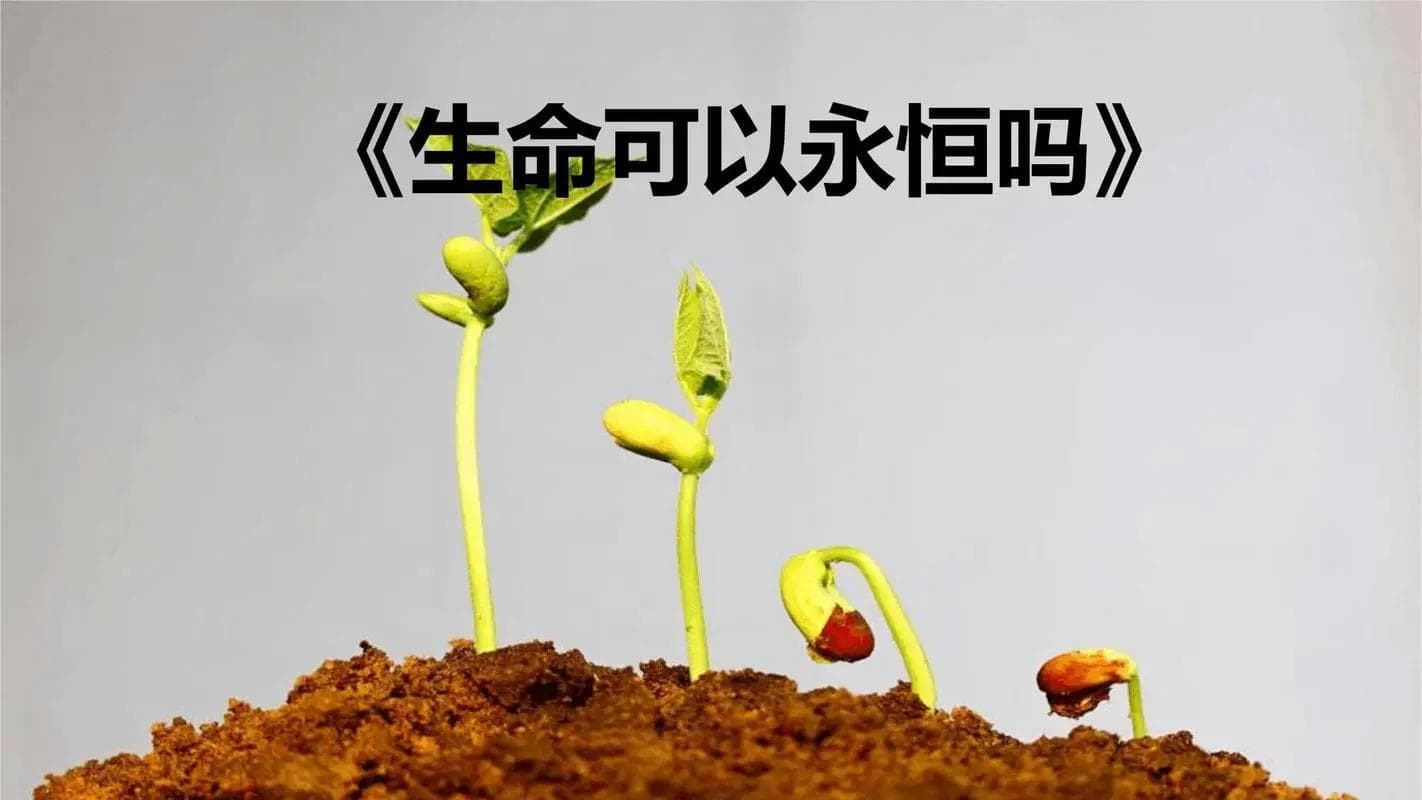生命进化的方向都是繁衍，为什么不朝着永生的方向进化呢？