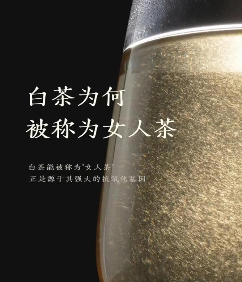 白毫银针：从采摘到品尝的精制工艺