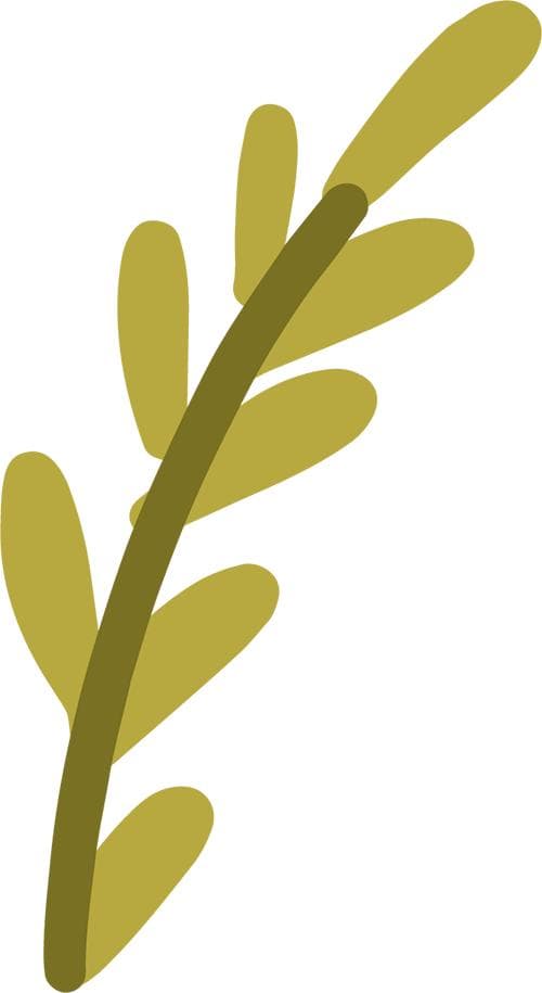【健康科普】化解咳嗽的四个小方，简单又好用