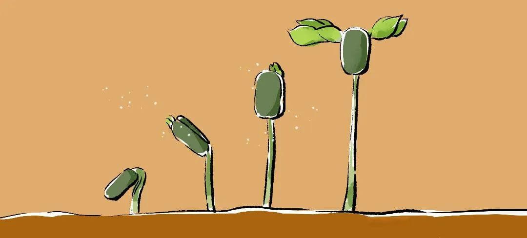 今天植树节！“植”此青绿 拥抱春天