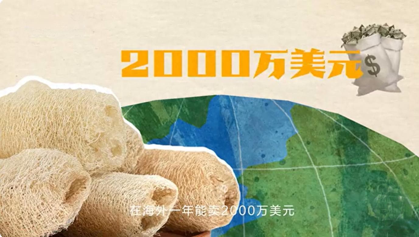 外国人的刀乐真好赚，洗碗的丝瓜络又让河南一个乡村走上暴富之路
