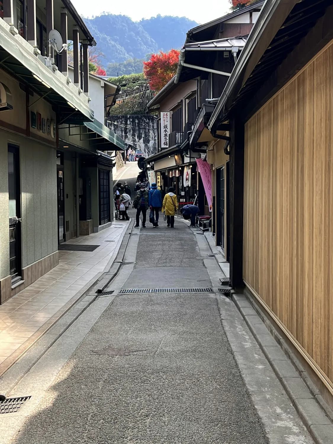 箱根温泉之旅：乘坐Romancecar，尽享移动观景台