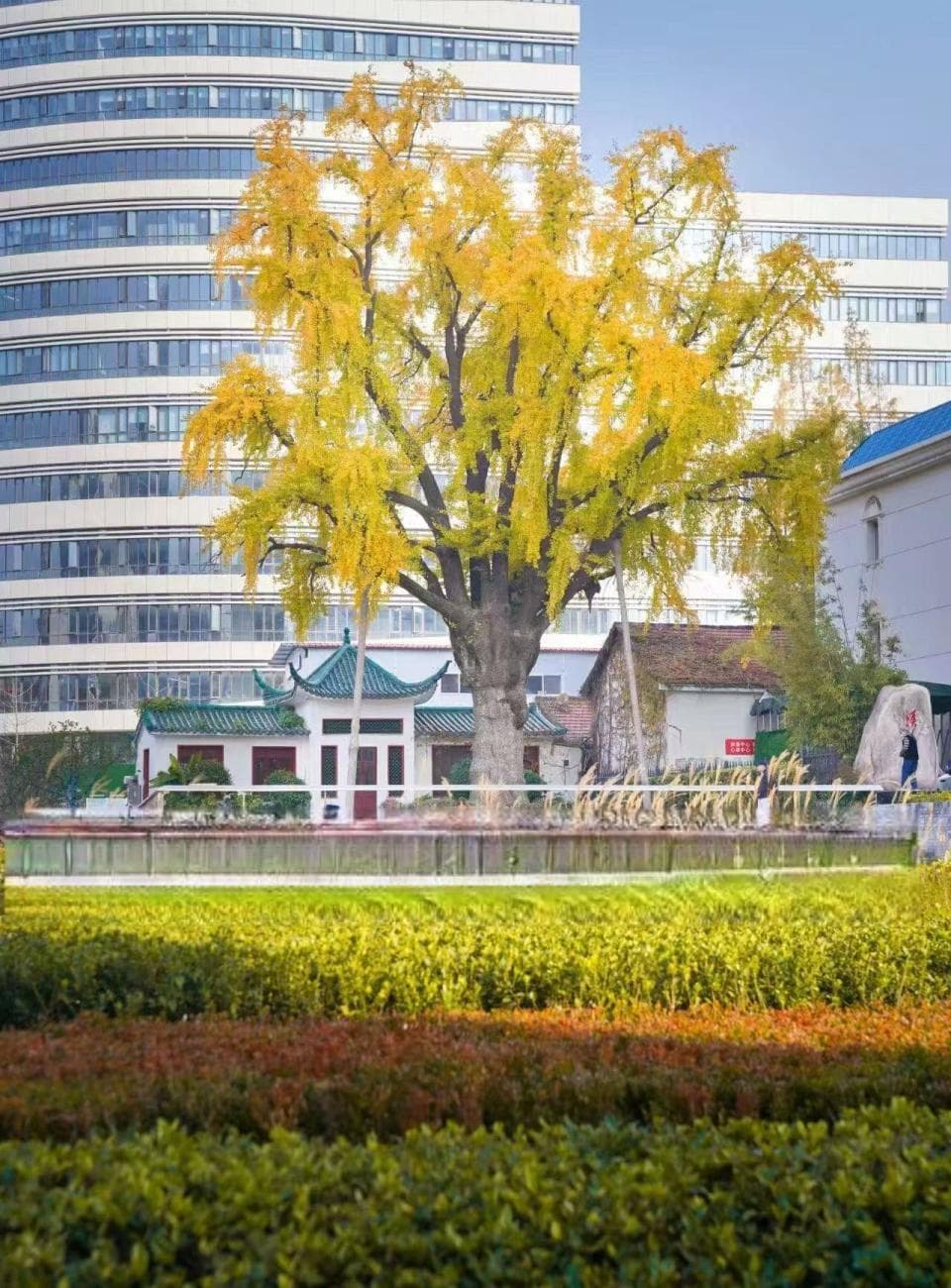 汉阳：一览两江，知音“文旅+”乘势起飞