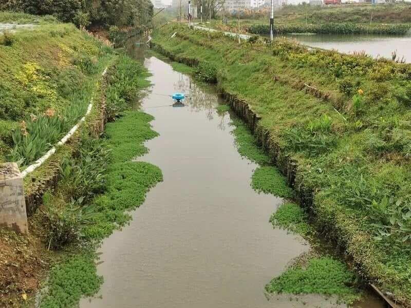 "生态缓冲带+生态截流沟+人工湿地"：农田面源污染治理新方案