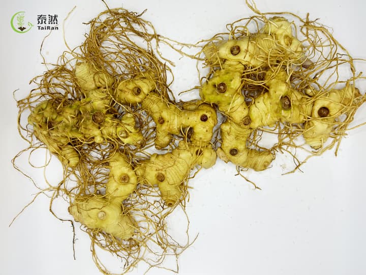 如何判断您是否适合吃黄精