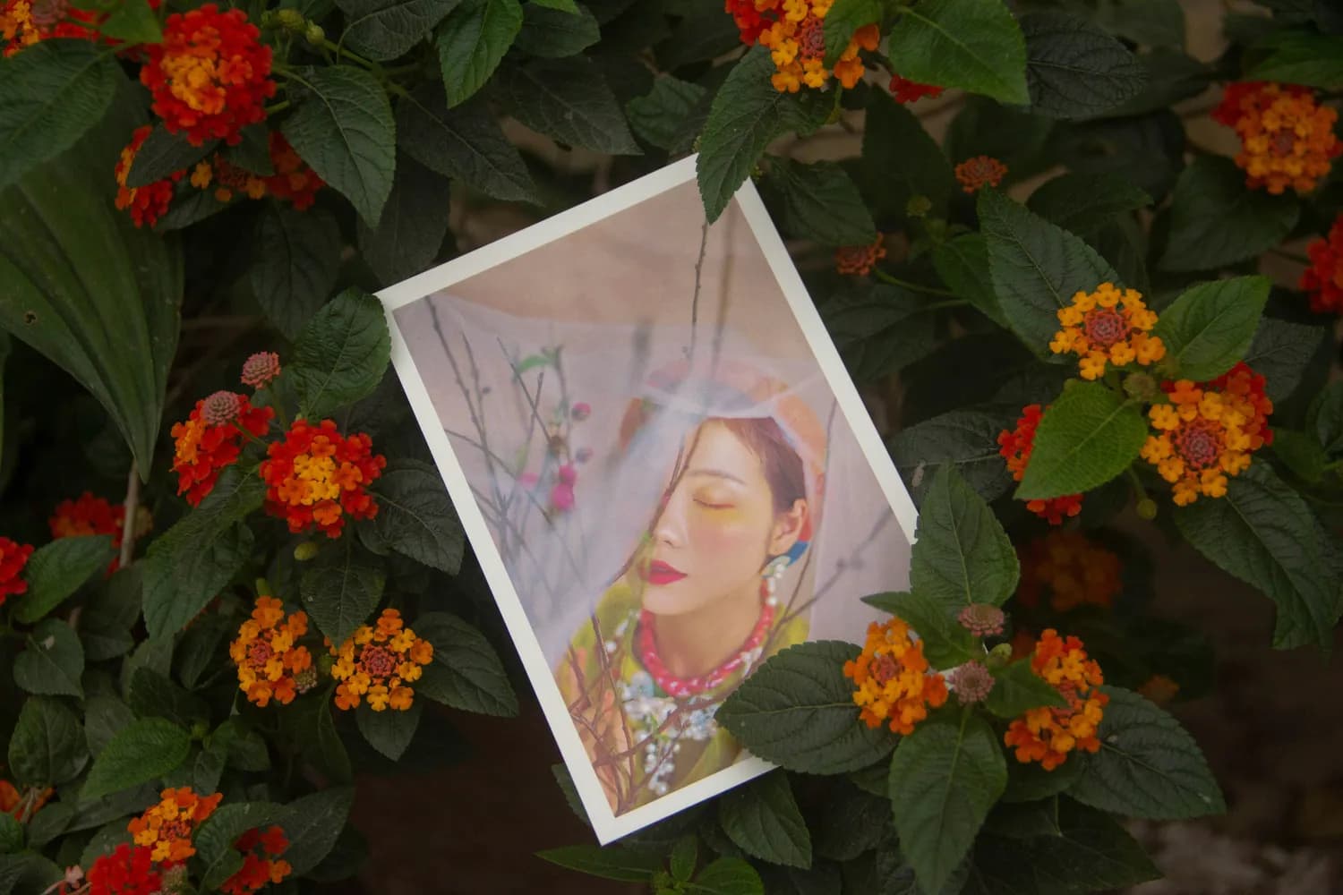 《红楼梦》诗词里的爱情密码
