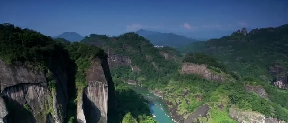 我国生物多样性丰富度上升 消失的野生动物重新出现