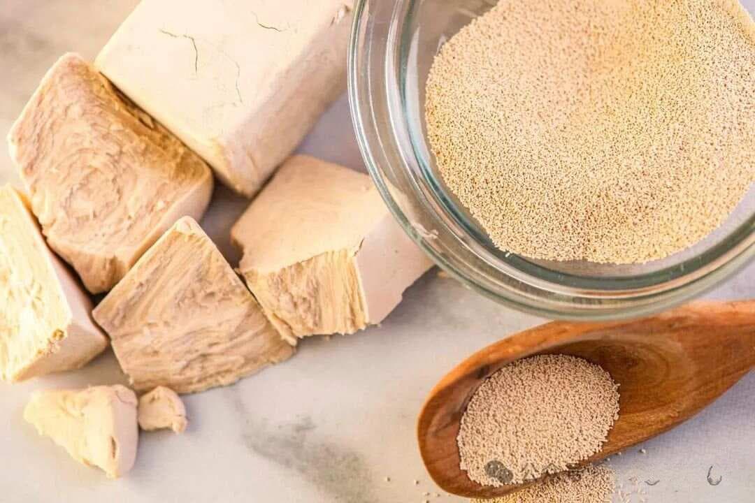 酵母知多少