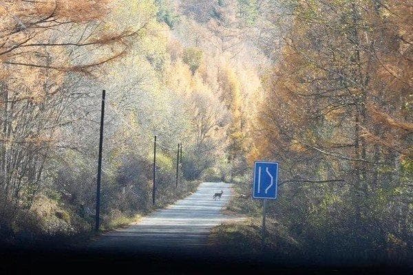 理解恐惧：心理学视角下的深度剖析