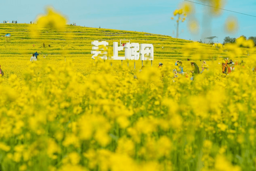农业新质生产力看北京｜当科技邂逅田园 打造家门口的诗与远方