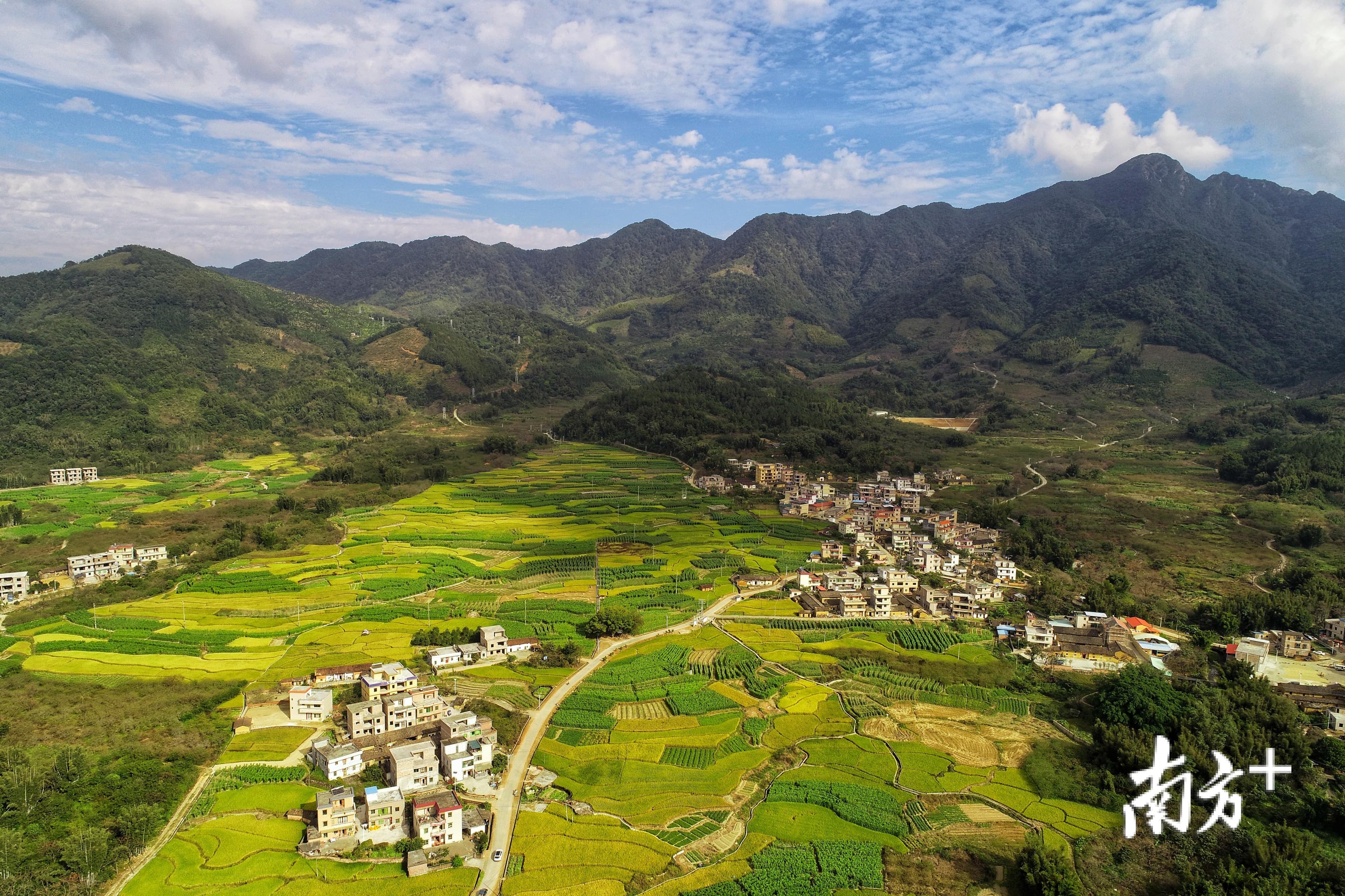 都市乡村 世界舞台｜南方日报头版聚焦广州从化乡村振兴实践
