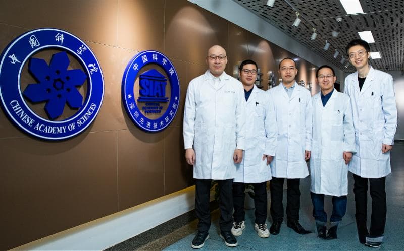 重要成果！深圳科研团队牵头，揭示“细菌治疗肿瘤”百年谜题