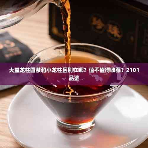 大益龙柱圆茶和小龙柱区别在哪？值不值得收藏？2101品鉴