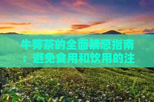 牛蒡茶的全面禁忌指南：避免食用和饮用的注意事项