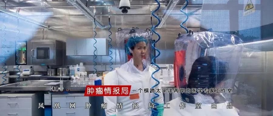 石正丽加入广州国家实验室，在《自然》发表冠状病毒受体研究突破