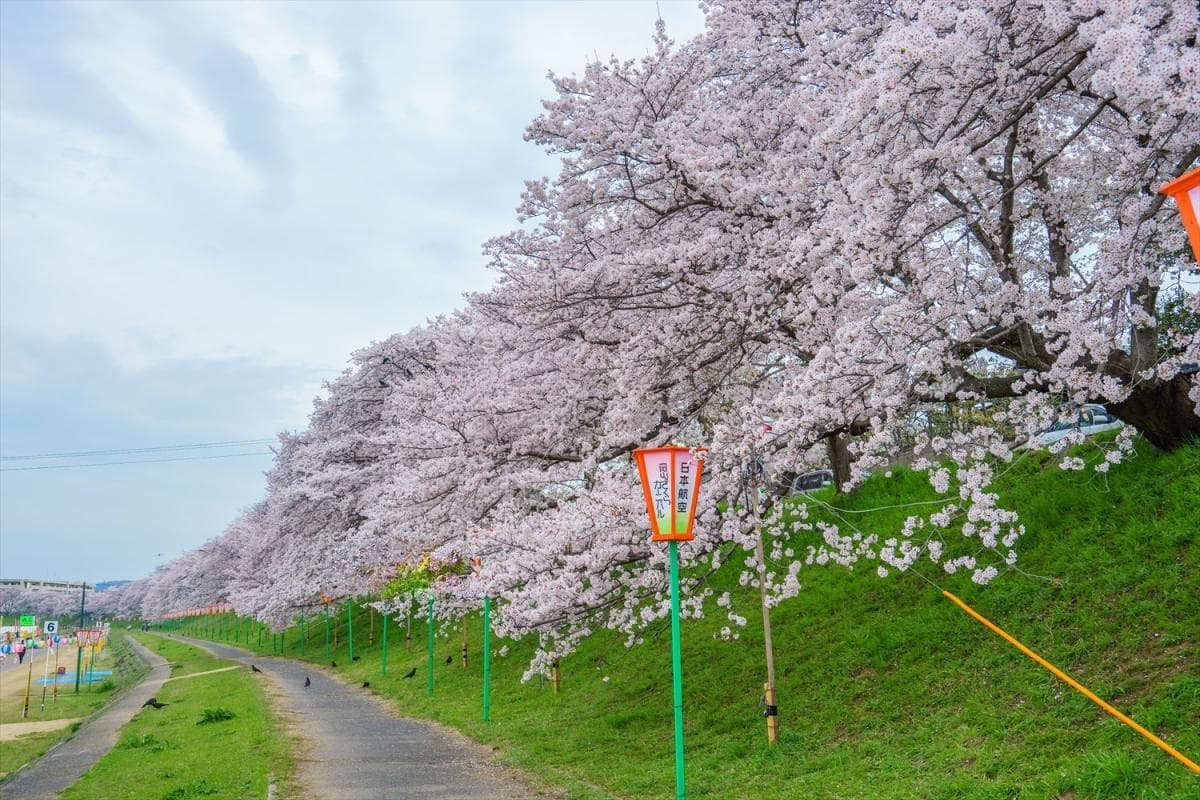 2025年日本公共假期及连休安排：旅游高峰期避坑指南
