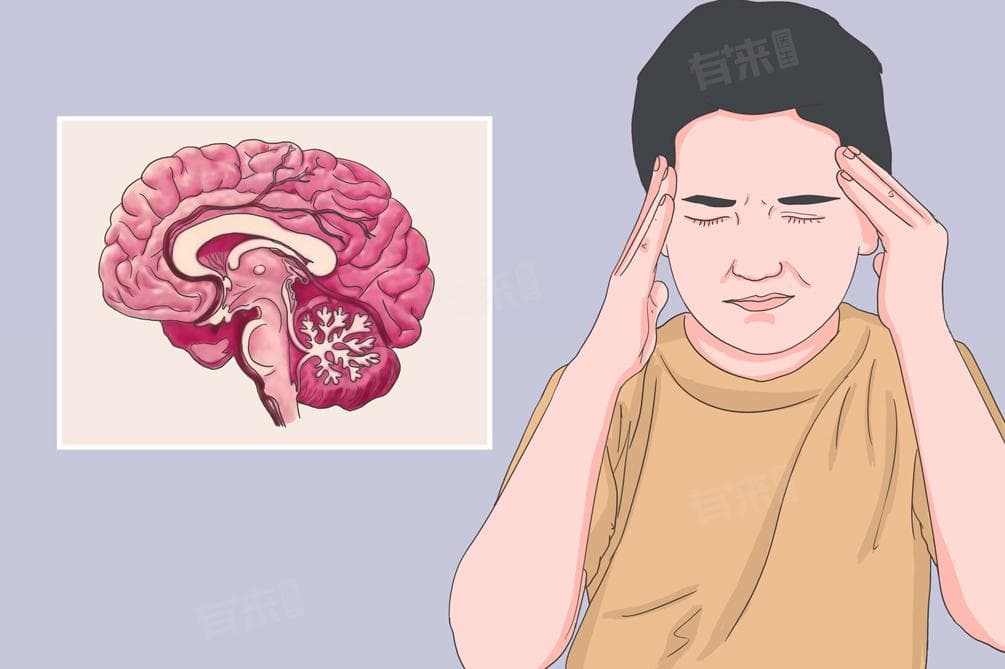 脑炎由什么引起的