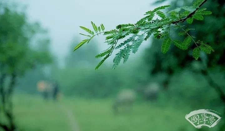 诗词里的清明：好好活着，就是最好的告慰