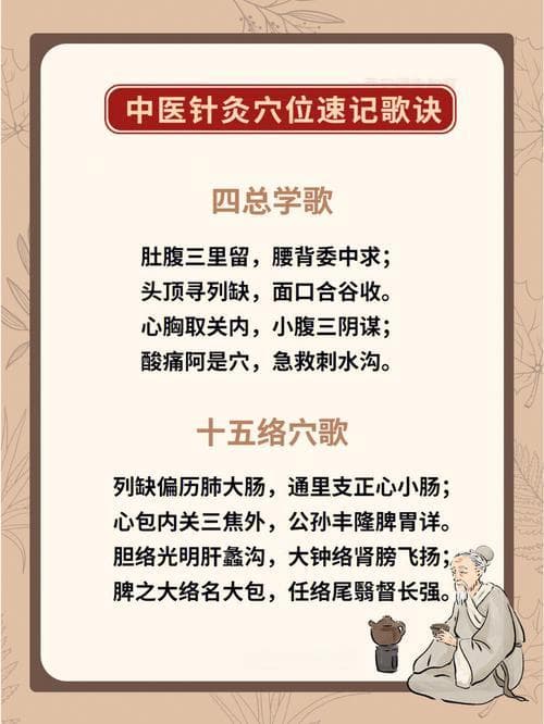 督脉经络循行与穴位主治全解析