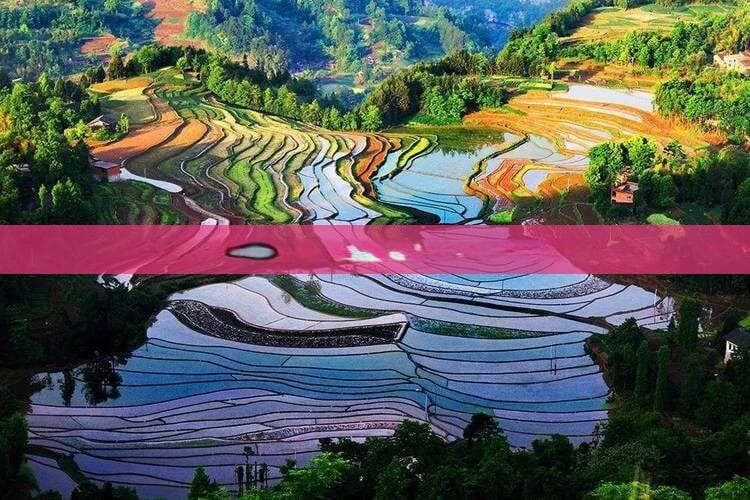 去云南旅游需注意什么事项：必备细节、要求与准备清单