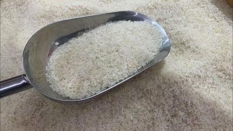 糙米饭和白米饭的区别